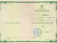 Удостоверение о повышении квалификации РУДН 2013